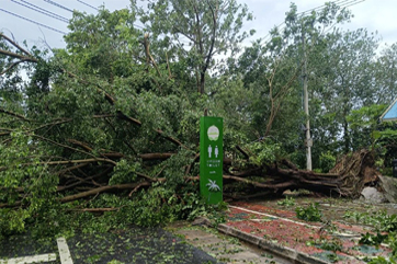 GA黄金甲(中国)最新官方网站